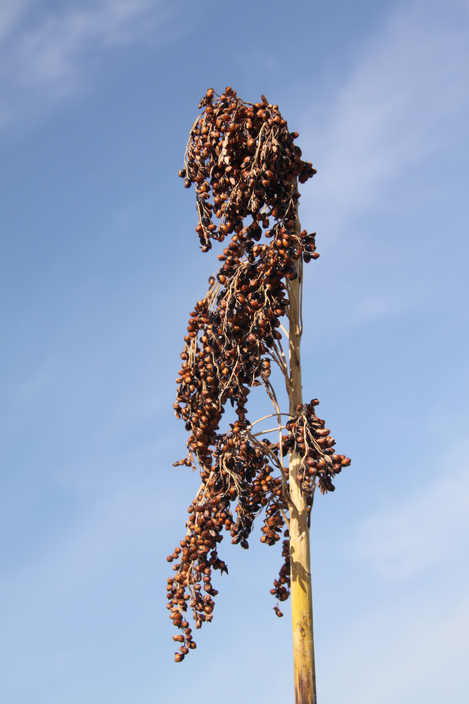 数据库中未找到相应图片