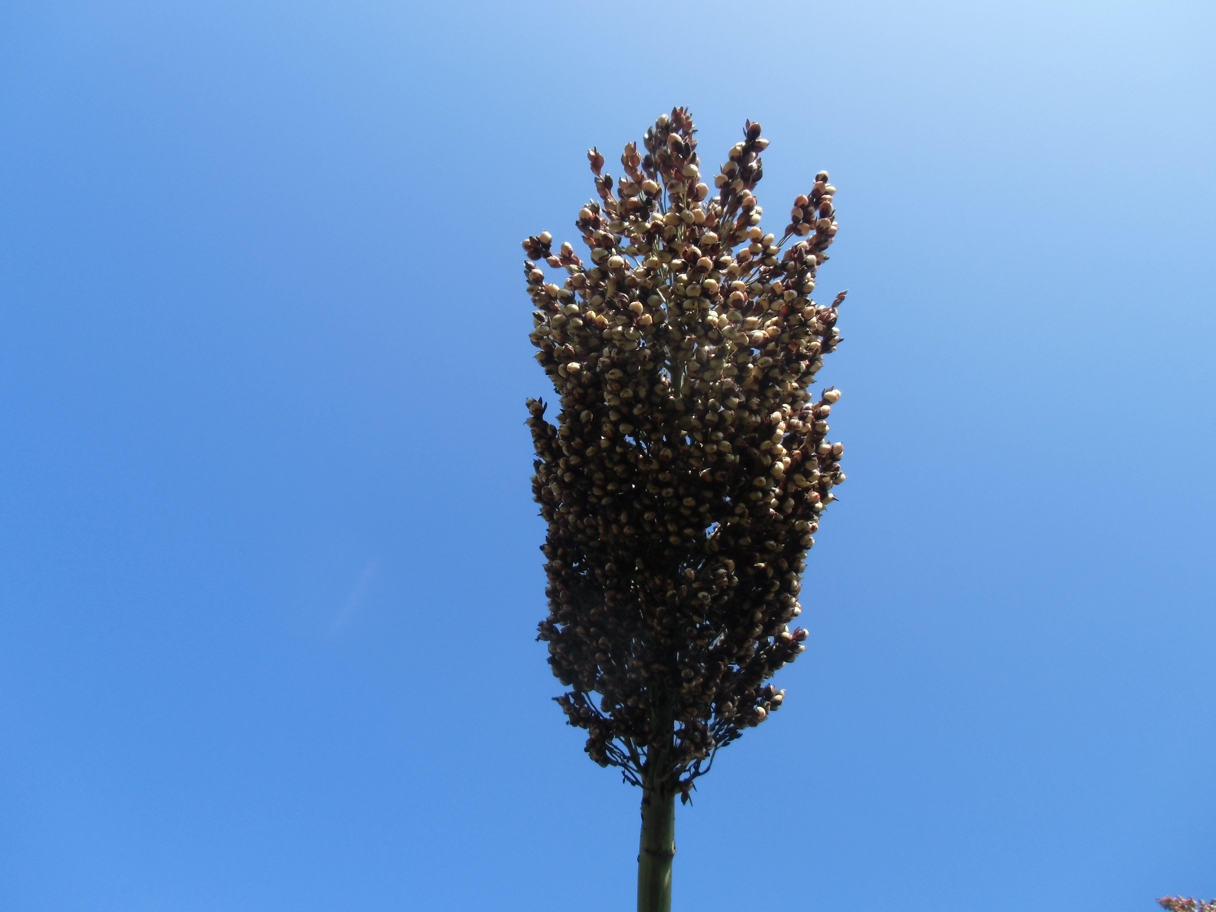 数据库中未找到相应图片