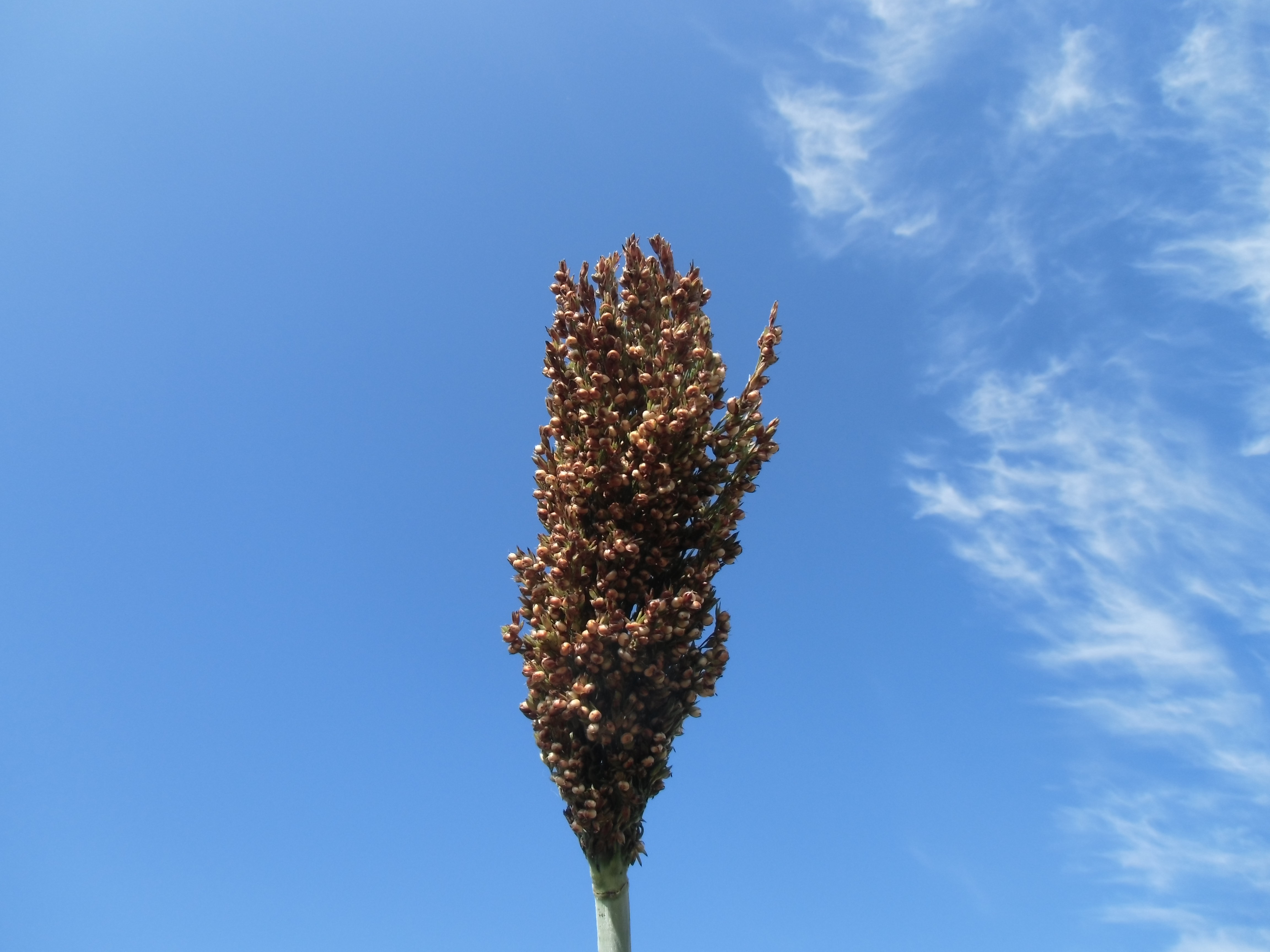 数据库中未找到相应图片