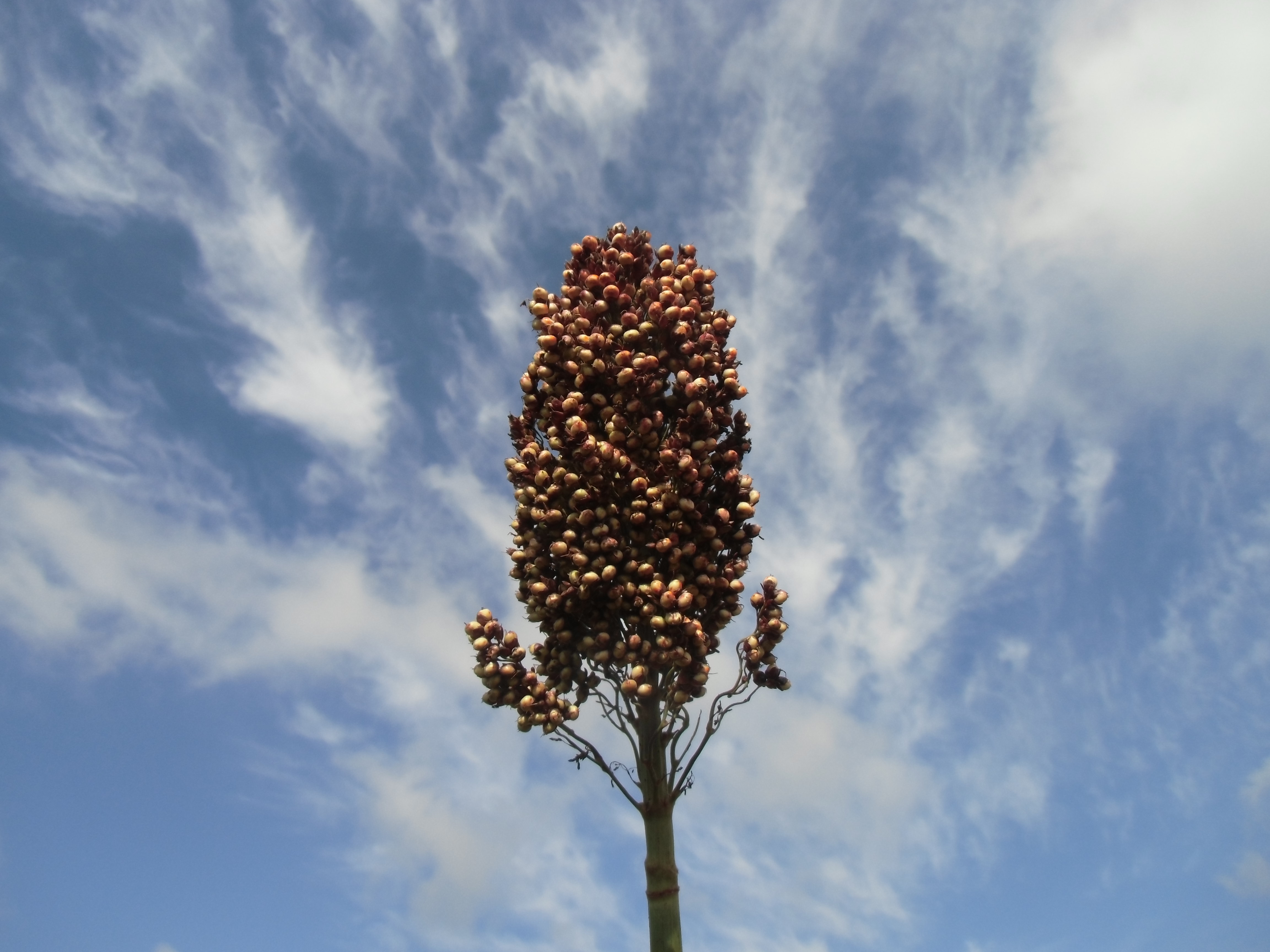数据库中未找到相应图片