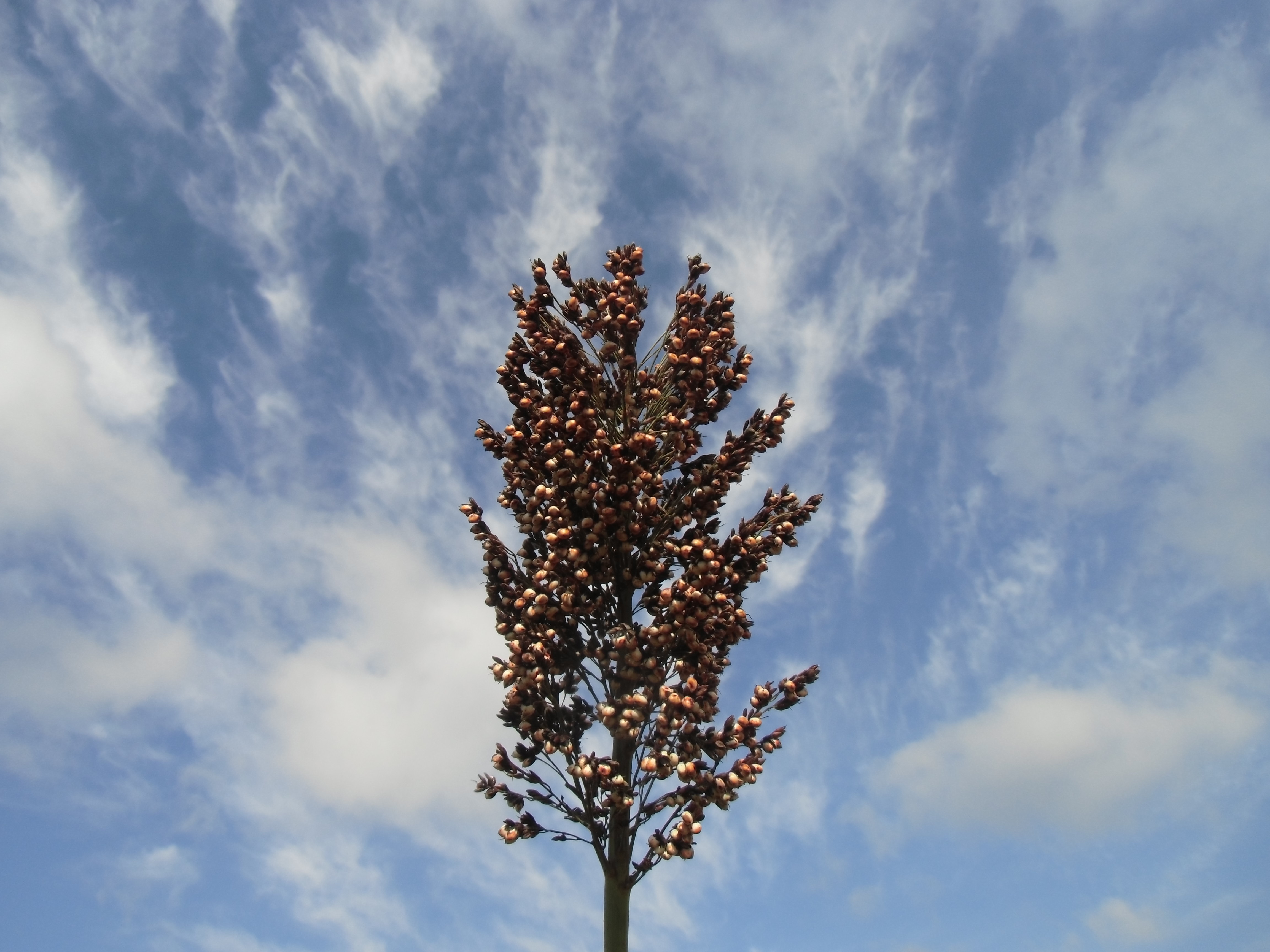 数据库中未找到相应图片