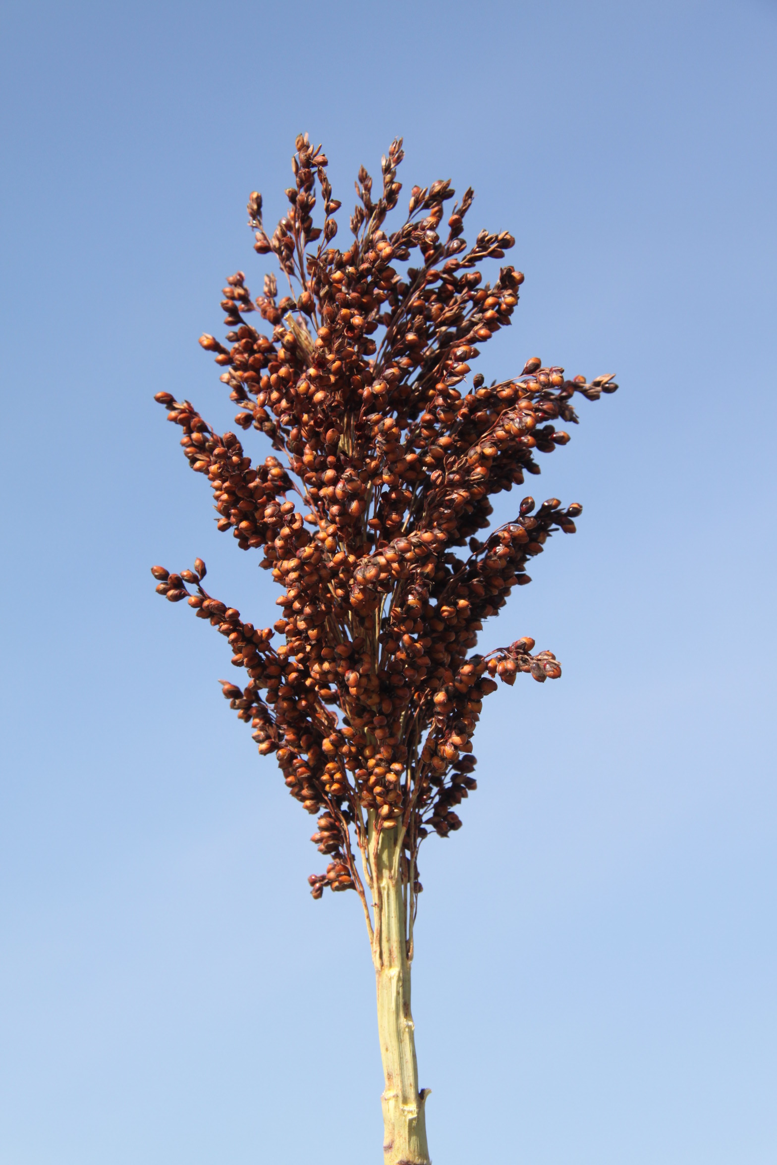 数据库中未找到相应图片