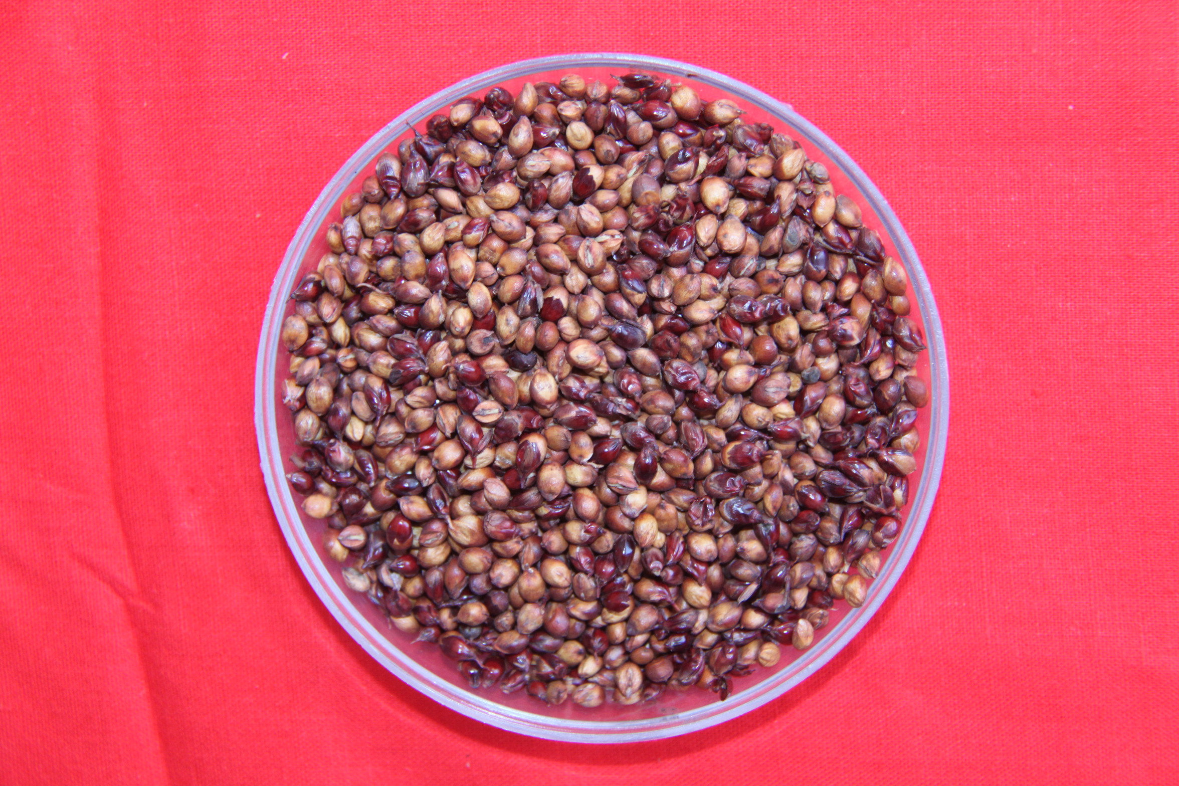 数据库中未找到相应图片