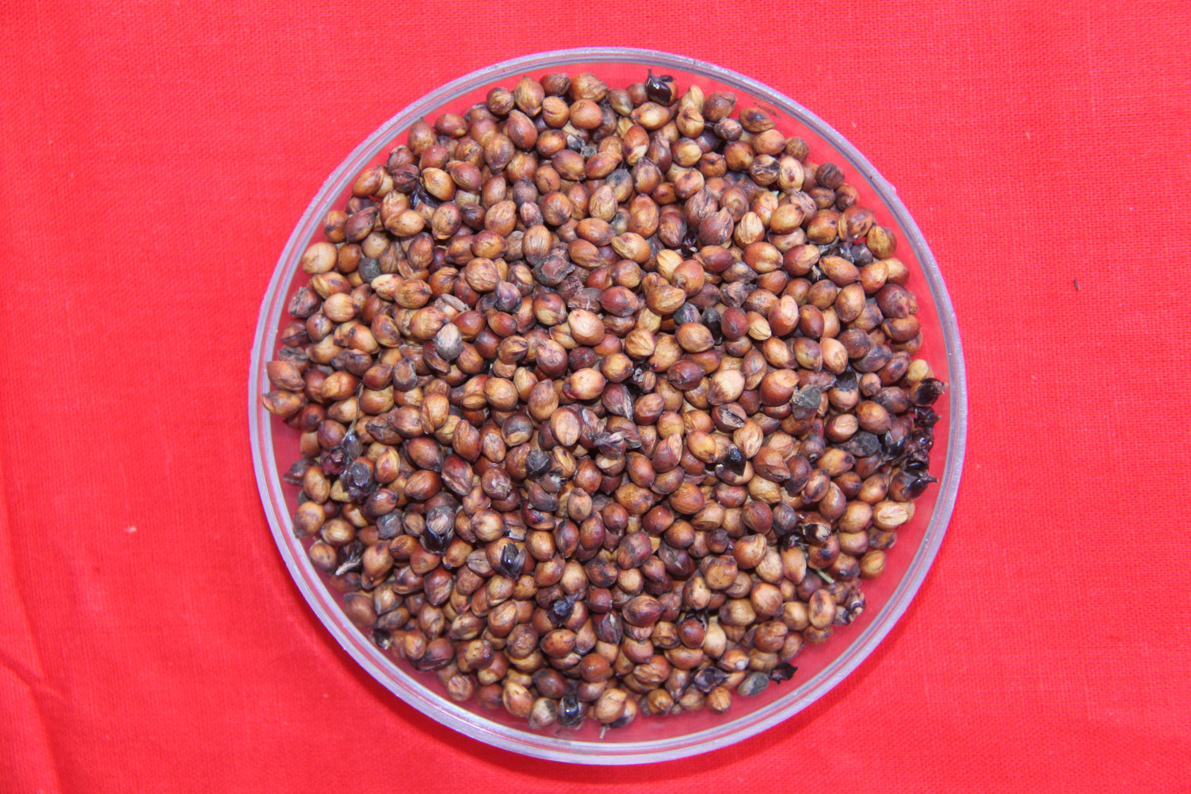 数据库中未找到相应图片