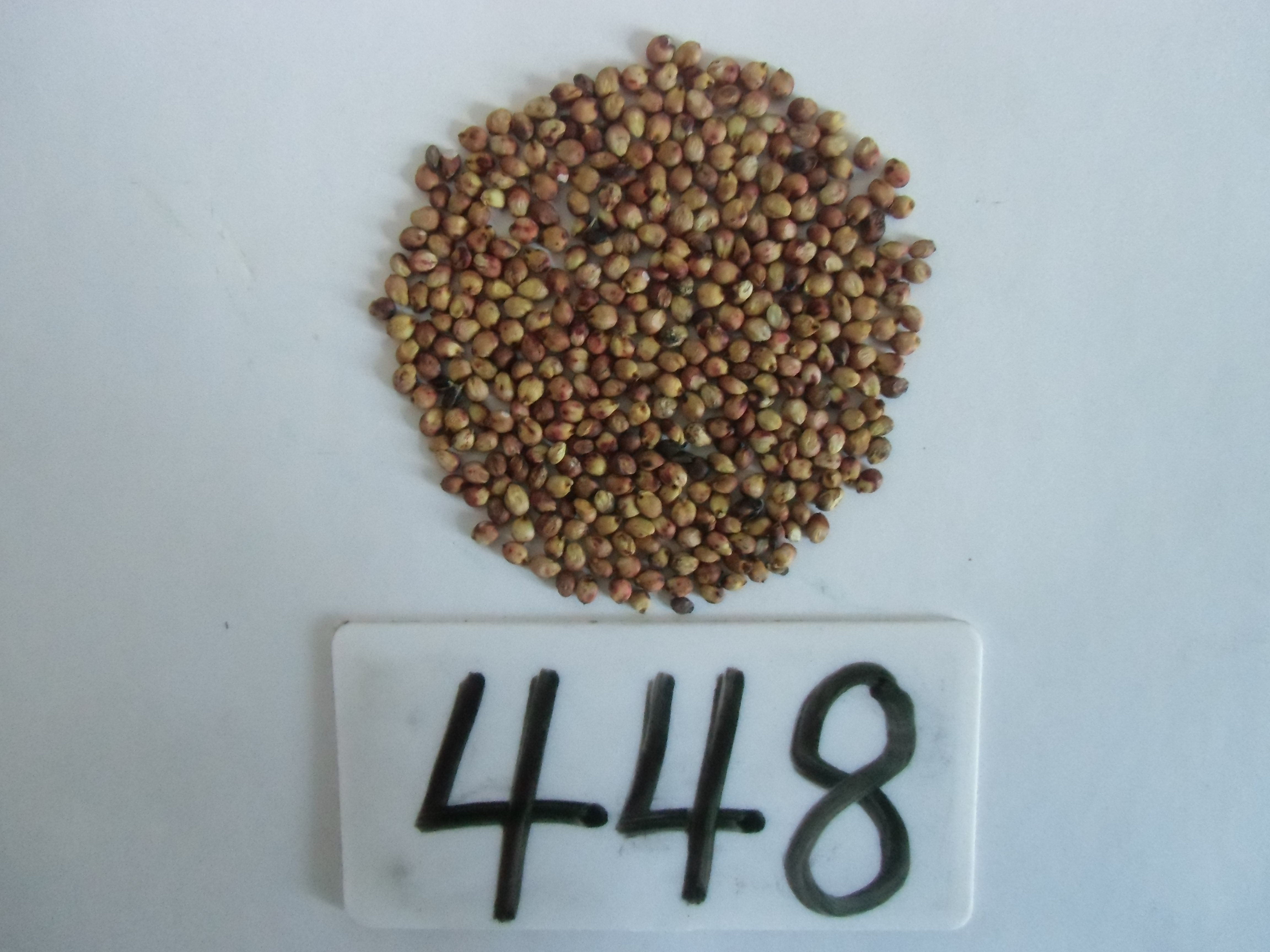 数据库中未找到相应图片