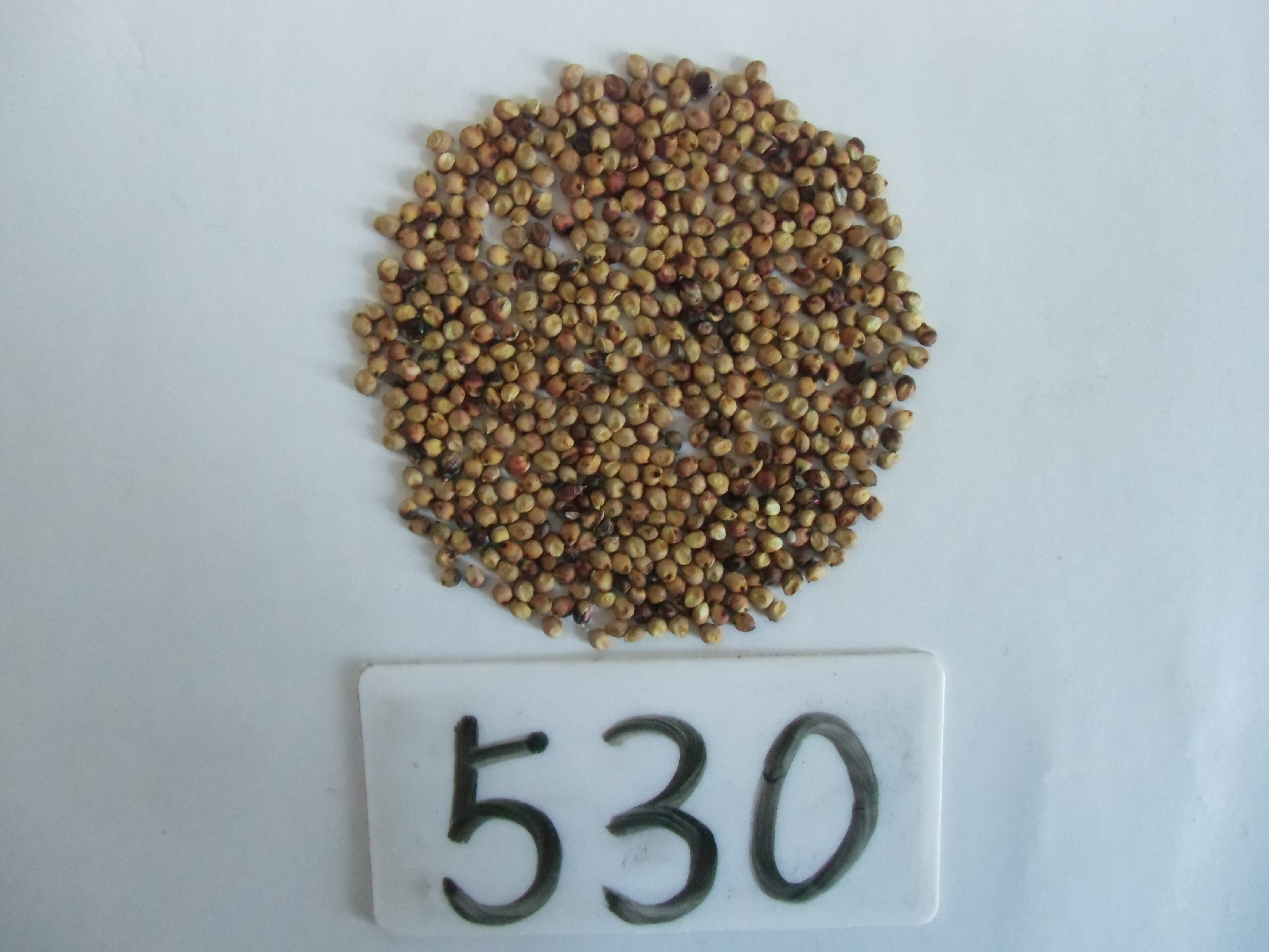 数据库中未找到相应图片