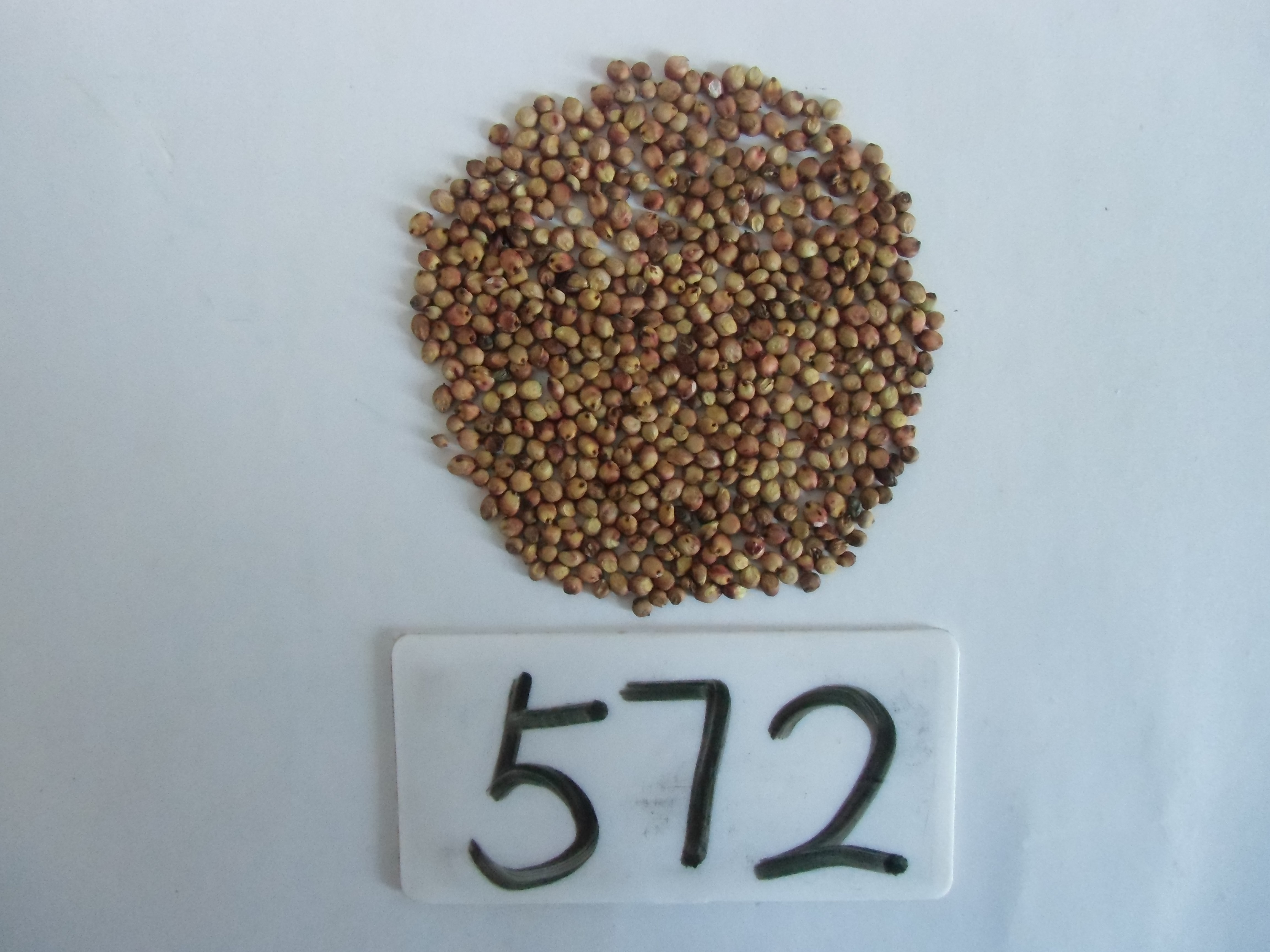 数据库中未找到相应图片